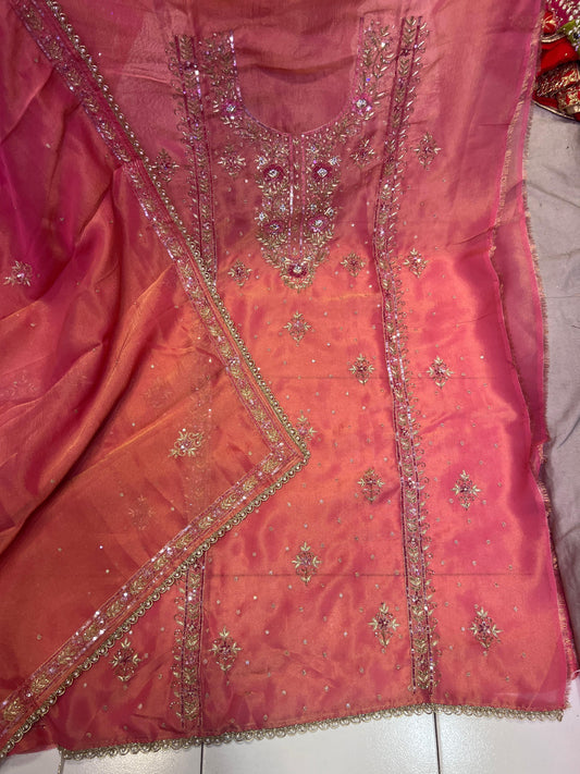 Reshi simmer organza suit punjabi salwar suit - Saffronfashionindia