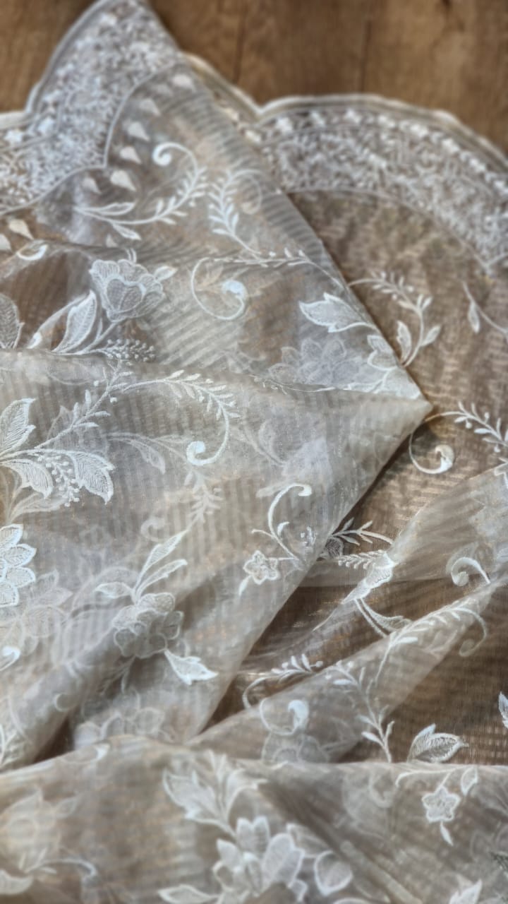 Ruvi organza silk tissue saree - Saffronfashionindia