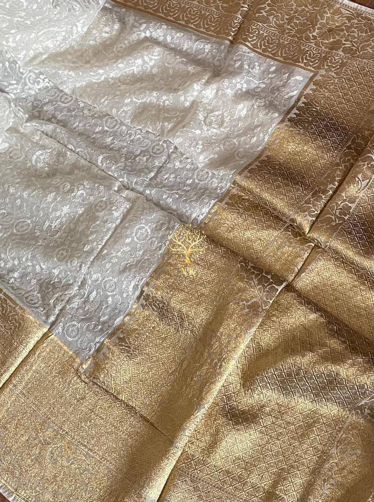 Chikankari gorgette Indian traditional saree - Saffronfashionindia