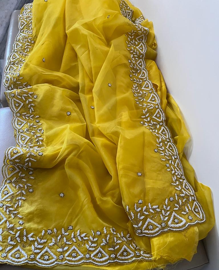 Hafisah katdana organza saree - Saffronfashionindia