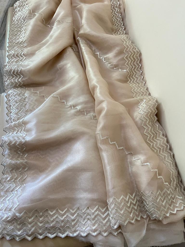 Kinisha tissue partywear saree - Saffronfashionindia