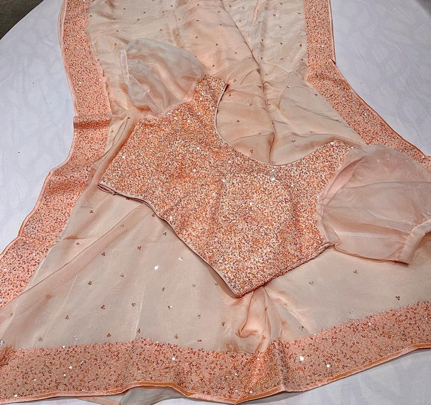 Posh organza sequins saree - Saffronfashionindia