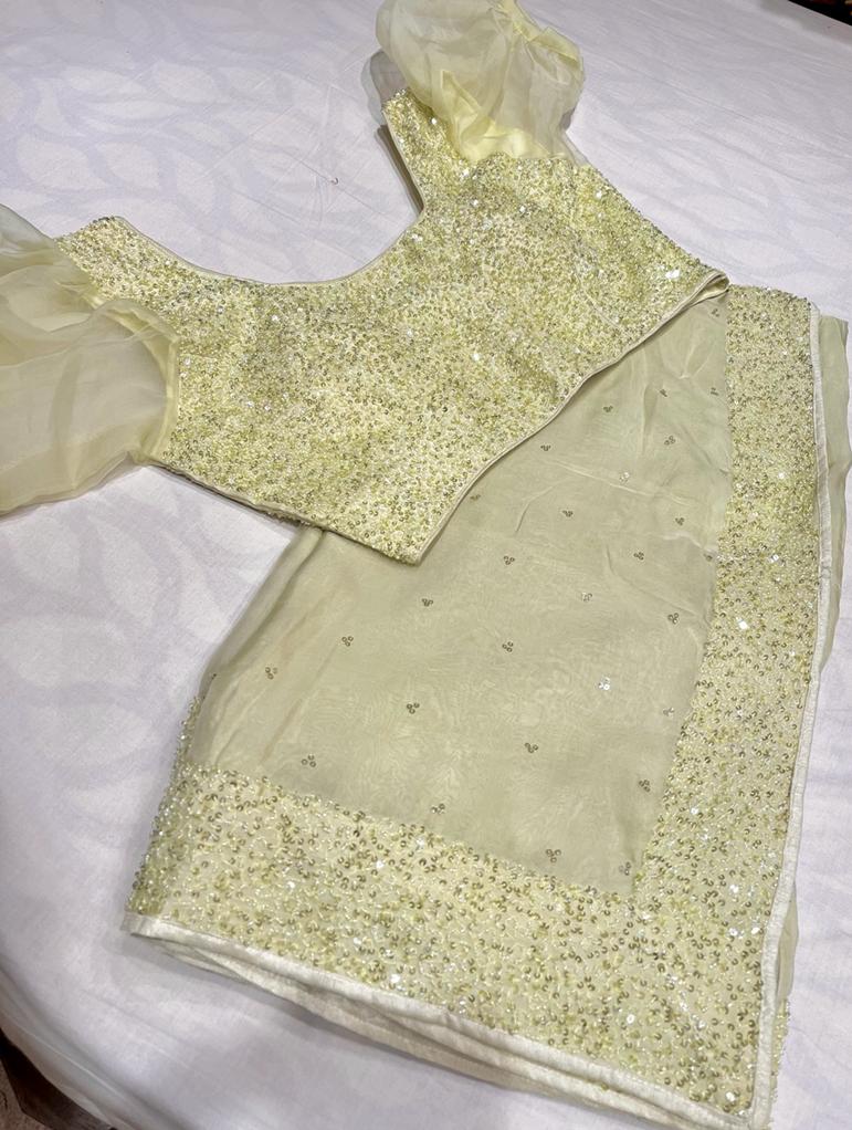 Posh organza sequins saree - Saffronfashionindia