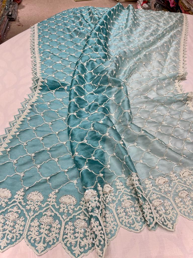 Nanika tissue organza saree - Saffronfashionindia