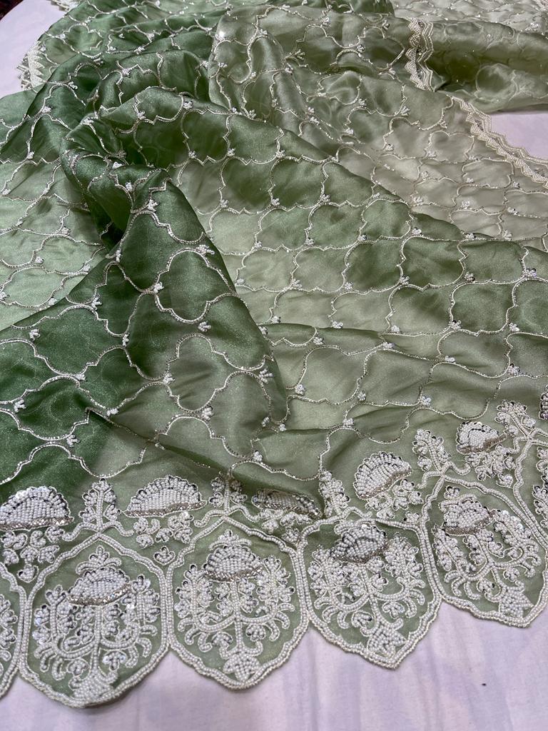 Nanika tissue organza saree - Saffronfashionindia