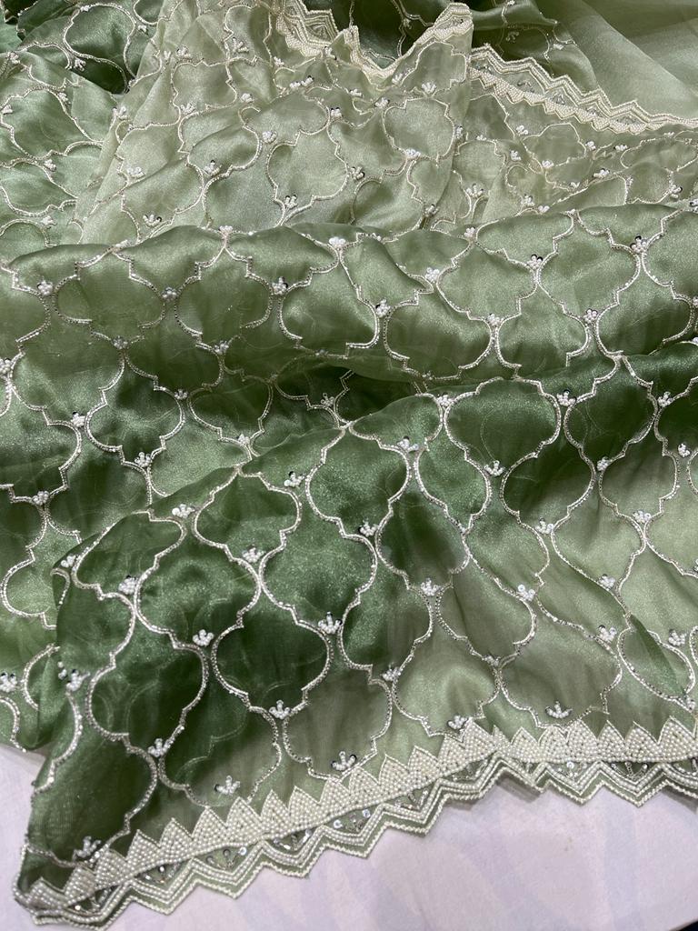 Nanika tissue organza saree - Saffronfashionindia