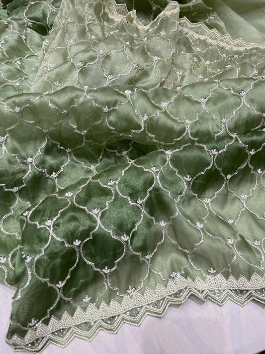 Nanika tissue organza saree - Saffronfashionindia