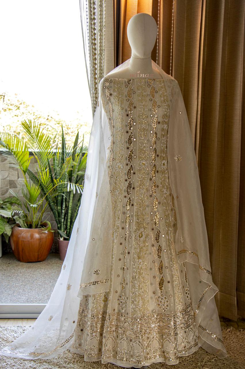 Mahavir elegant Anarkali dress - Saffronfashionindia