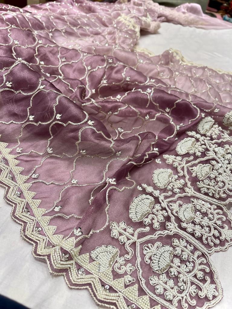 Nanika tissue organza saree - Saffronfashionindia